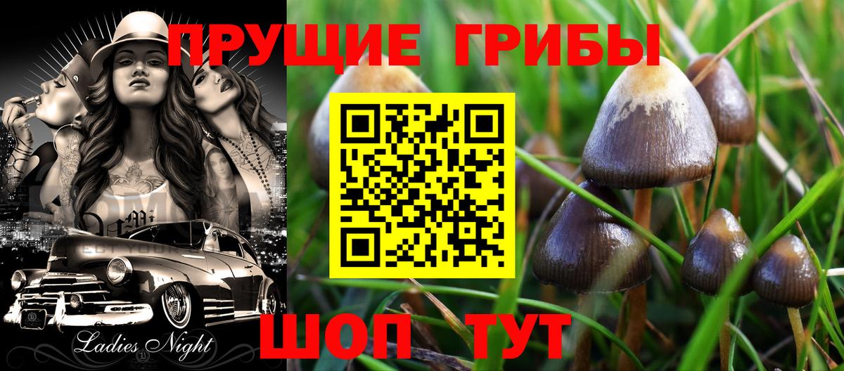 Тюмень  Псилоцибиновые грибы Psilocybine cubensis  Вход с VPN  Галлюциногенные грибы MAGIC MUSHROOMS 